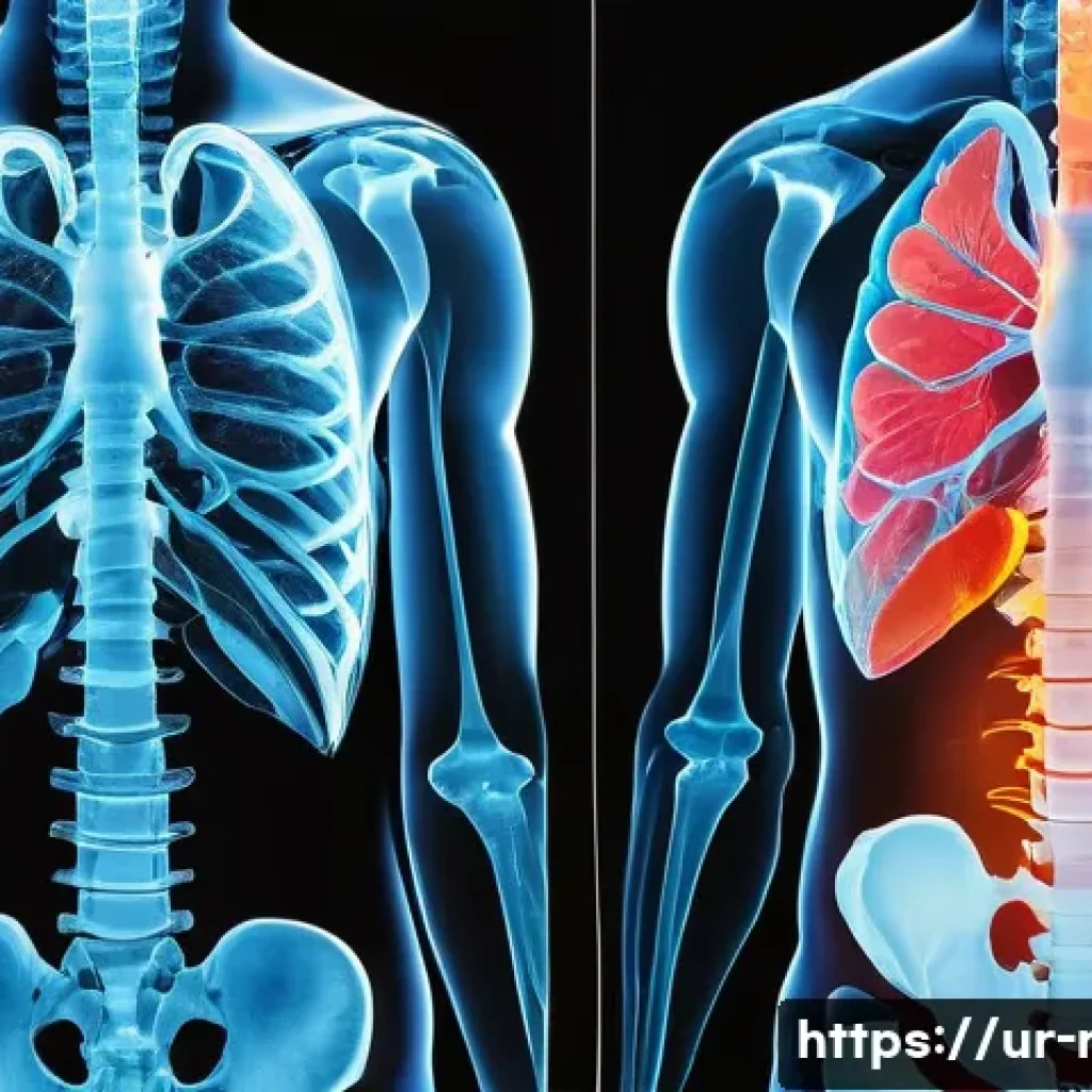 X ray와 CT 차이점 - A detailed medical illustration comparing X-ray and CT scan technologies, showing a clear side-by-si...