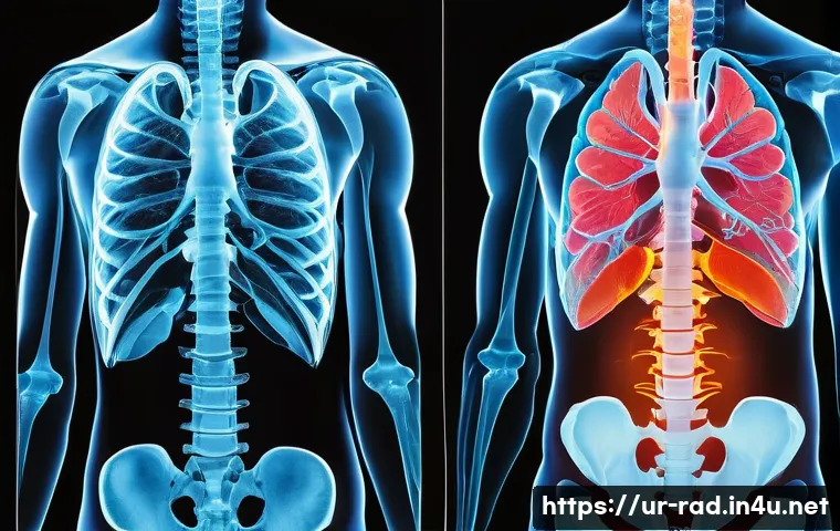 X ray와 CT 차이점 - A detailed medical illustration comparing X-ray and CT scan technologies, showing a clear side-by-si...